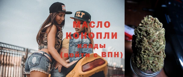 молекула духа Бородино