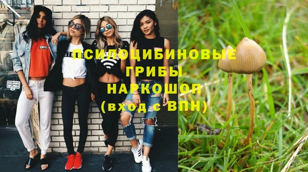 СК Верея